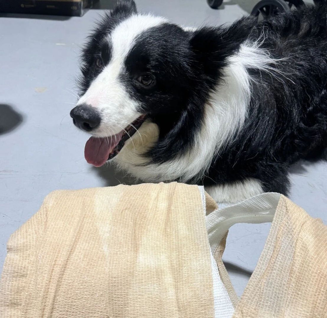 义肢制作流程详细版